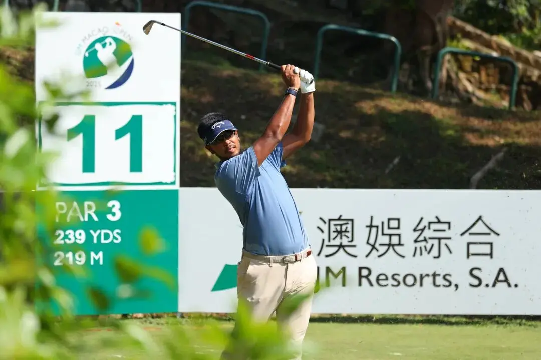 假股份有限, 白政恺丁文, alt 假股份有限, 白政恺丁文, alt