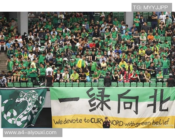 国安主场迎战建业精彩实况录像回顾与赛后分析